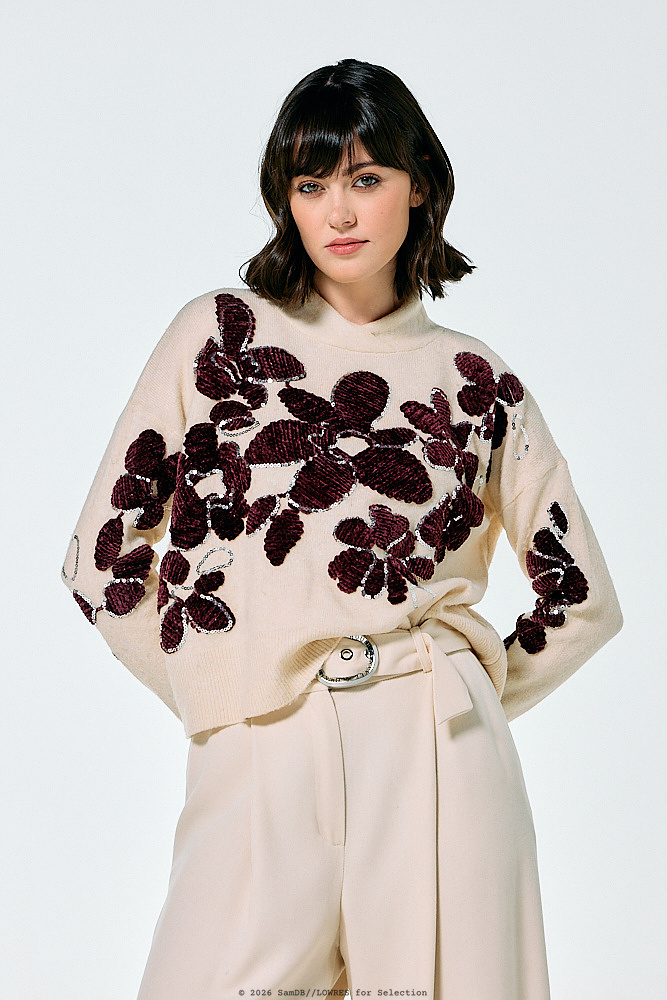 4283 | Pull pailliet